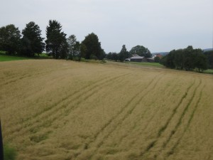 FarmInEasternGermany